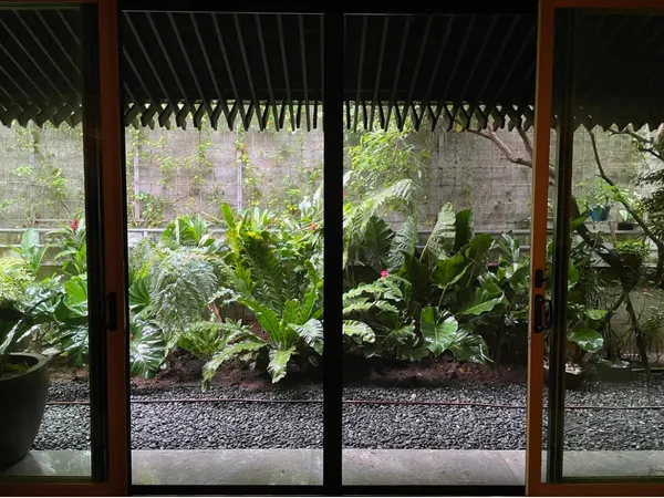 Tropical courtyard garden viewed through glass doors with ferns and alocasia at Dasmariñas Village