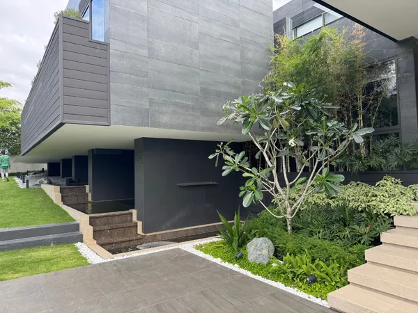 Minimalist landscape design with plumeria tree, lawn, and white gravel accents at Montala Alviera