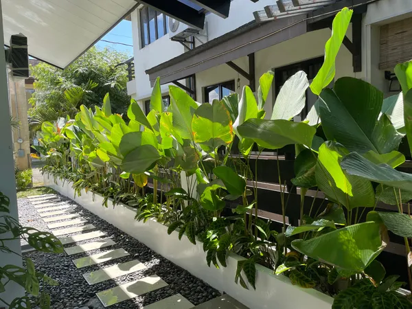 Raised planters with tropical foliage along covered walkway at Pramana Greenfield Santa Rosa