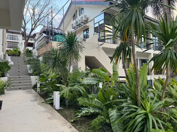 Tropical planting with dracaena and palms along terraced stairs at Peninsula de Punta Fuego