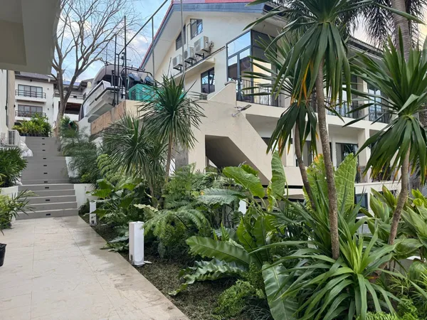 Ferns and broad-leaf tropical plants in a bed beside a walkway and stairs at a terraced home in Peninsula de Punta Fuego